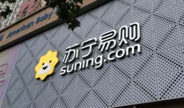 苏宁易购员工最新爆料,揭秘员工视角下的企业变革与挑战