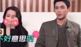吴磊爆料土味视频播放,揭秘娱乐圈幕后趣事